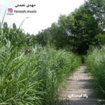 دانلود آهنگ مهدی نعمتی راه نیستان