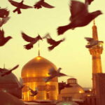 دانلود آهنگ کبوترای حرم برادران سعیدی دانلود آهنگ کبوترای حرم برادران سعیدی