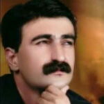 موزیک های مشابه