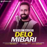 دانلود آهنگ مهدی صالحی دلو میبری دانلود آهنگ مهدی صالحی دلو میبری