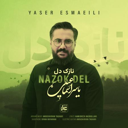 دانلود آهنگ یاسر اسماعیلی نازک دل دانلود آهنگ یاسر اسماعیلی نازک دل