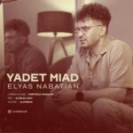 دانلود آهنگ الیاس نباتیان یادت میاد