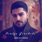 دانلود آهنگ امیر علی حمیدی نیمه ی گمشده