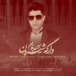دانلود آهنگ مبین پرتوان وارگه شیرون
