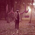 دانلود آهنگ سید محمد موسوی یلدا