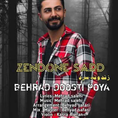 دانلود آهنگ بهراد دوستی پویا زندون سرد دانلود آهنگ بهراد دوستی پویا زندون سرد