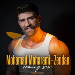 دانلود آهنگ محمد محرمی زندان