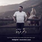 دانلود آهنگ سعید طاهری دختر مرداد