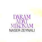 دانلود آهنگ ناصر زینعلی دارم عادت میکنم