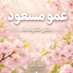 دانلود آهنگ جشن شکوفه ها عمو مسعود