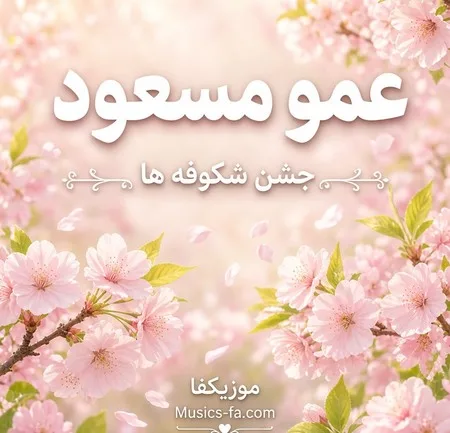 دانلود آهنگ جشن شکوفه ها عمو مسعود دانلود آهنگ جشن شکوفه ها عمو مسعود