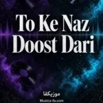 دانلود آهنگ تو که ناز دوست داری میخوای برات ناز کنم + ریمیکس