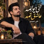 دانلود آهنگ تنی دیوانمه عاشق تمه ریمیکس علی حمیدی