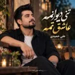 دانلود آهنگ تنی دیوانمه عاشق تمه ریمیکس علی حمیدی