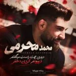 دانلود آهنگ دیدی بهت راست میگفتم دیوونم کردی دختر محمد محرمی